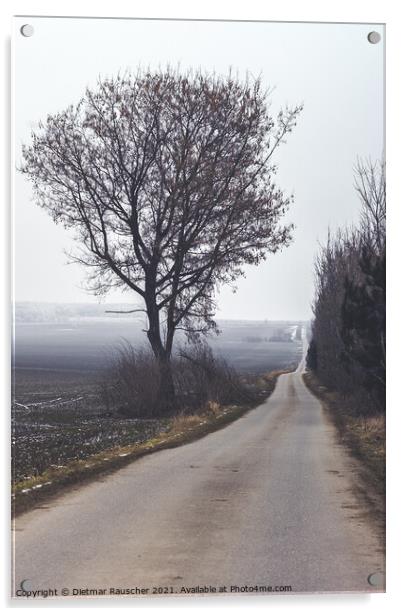 Dreary, Lonely Country Road in Winter in Czech Republic Acrylic by Dietmar Rauscher