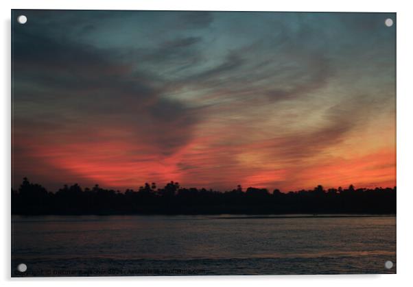 Evening Sky on the River Nile Acrylic by Dietmar Rauscher