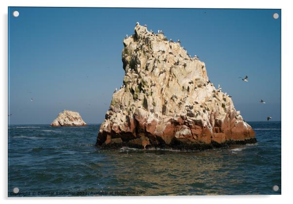 Guano Islands - Islas Ballestas, Islands off Peru Acrylic by Dietmar Rauscher