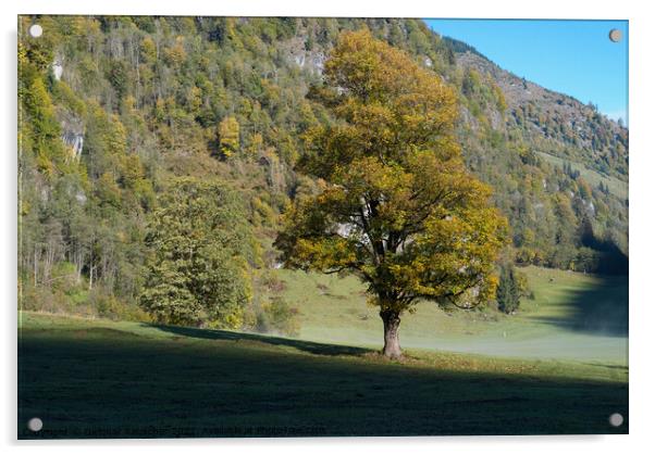 Tree with Golden Leaves in an Alpine Autumn Landscape Acrylic by Dietmar Rauscher