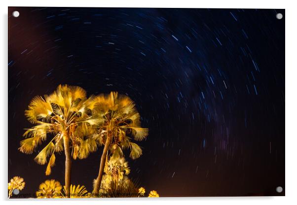 Palm Tree and Night Sky with Stars Acrylic by Dietmar Rauscher