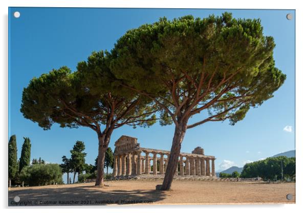 Greek Temple of Athena or Ceres in Paestum, Italy Acrylic by Dietmar Rauscher