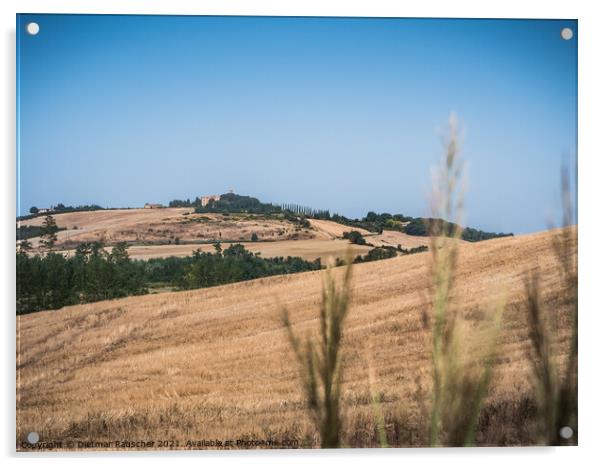 Hills of Tuscany near Montalcino Acrylic by Dietmar Rauscher