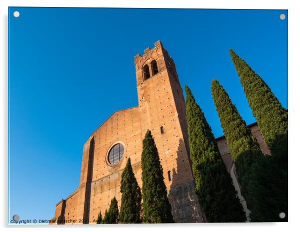 Basilica di San Domenico in Siena Acrylic by Dietmar Rauscher