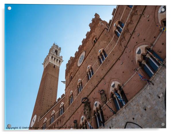 Torre del Mangia and Palazzo Pubblico in Siena Acrylic by Dietmar Rauscher