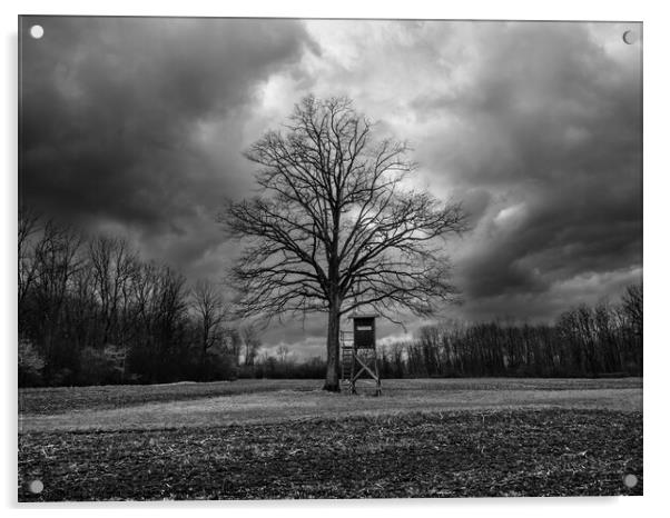 Bare Tree and Perch in Winter Landscape Monochrome Acrylic by Dietmar Rauscher