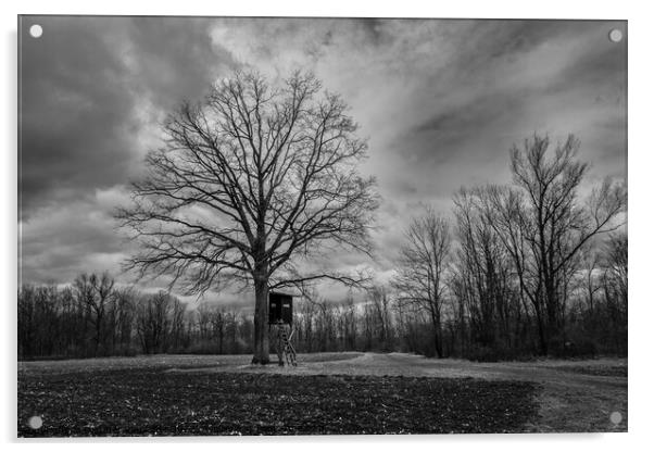 Bare Tree and Perch in Winter Landscape Monochrome Acrylic by Dietmar Rauscher