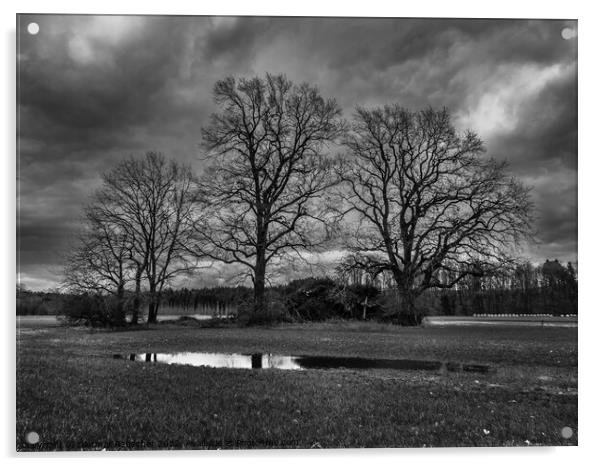 Winter Landscape with Bare Trees in the Mostvierte Acrylic by Dietmar Rauscher