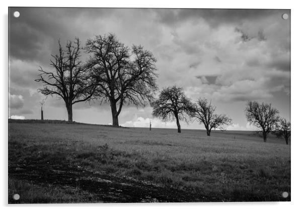 Fruit Trees in Early Spring in the Mostviertel of Lower Austria Acrylic by Dietmar Rauscher