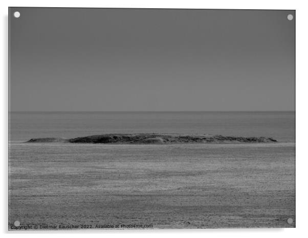 Etosha Salt Pan in Namibia, Africa Acrylic by Dietmar Rauscher