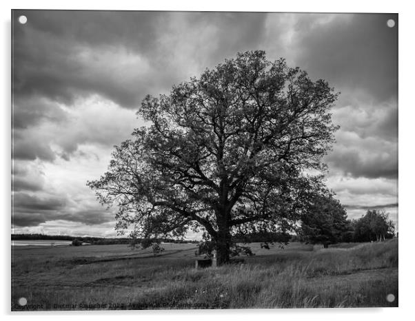 Oak Tree, Wayside Cross and Landscape in Bohemia Acrylic by Dietmar Rauscher