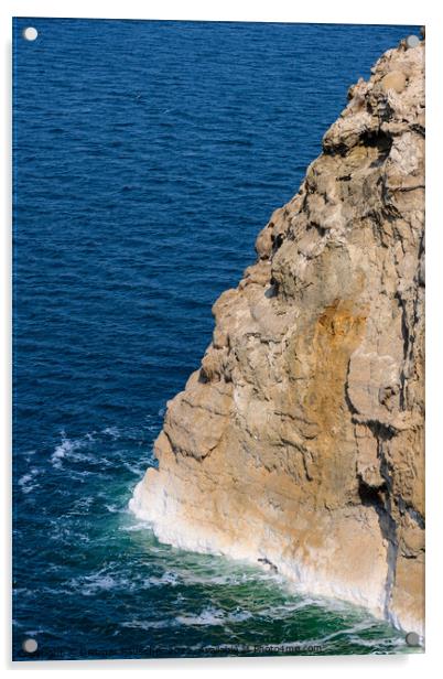 Dead Sea Rock Cliff i Jordan Acrylic by Dietmar Rauscher