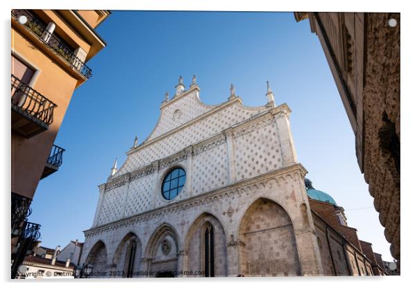 Vicenza Cathedral Gothic Facade, the Duomo di Vicenza in Veneto, Acrylic by Dietmar Rauscher