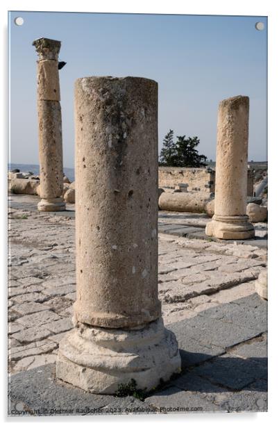 Column on the Byzantine Church Terrace in Gadara Acrylic by Dietmar Rauscher