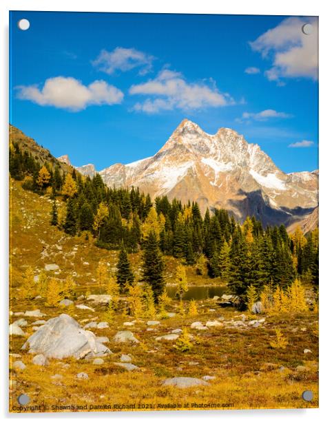 Fall Larch Mountain Landscape Acrylic by Shawna and Damien Richard