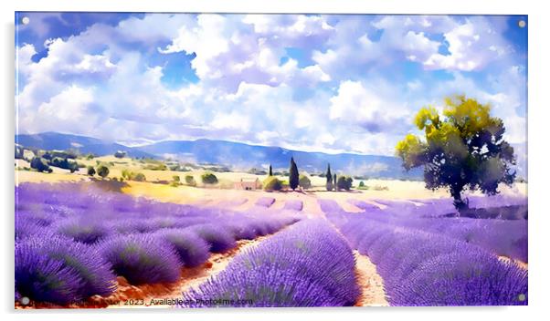 Lavender field Acrylic by Paulina Sator
