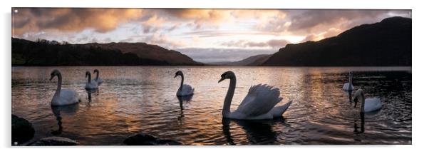 Ullswater Swans Sunrise Lake District Acrylic by Sonny Ryse