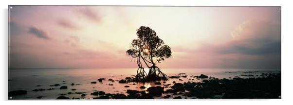 Havelock Island Mangrove Sunrise Andamans Acrylic by Sonny Ryse