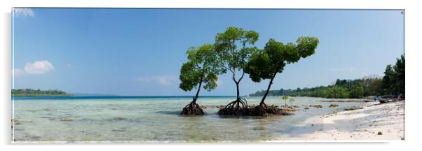 Havelock Island Mangroves Andamans 2 Acrylic by Sonny Ryse