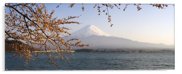 Mount Fuji Cherry Blossom Japan Acrylic by Sonny Ryse