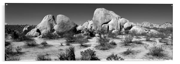 Joshua Tree National Park Black and white USA 2 Acrylic by Sonny Ryse