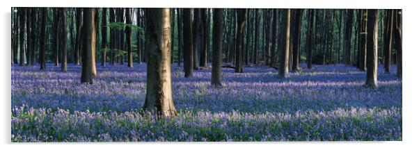 Sea of Bluebells in Micheldever forest Acrylic by Sonny Ryse