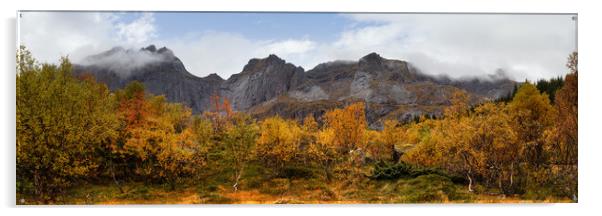 Bjorntinden Nusfjord autumn trees Lofoten Islands Acrylic by Sonny Ryse