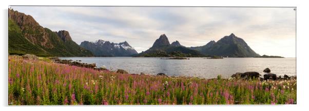 Sloverfjorden Pink Fireweed Flowers Austvagoya Lofoten Islands Acrylic by Sonny Ryse