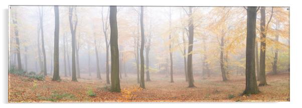 Misty English autumn forest woodland Yorkshire dales Acrylic by Sonny Ryse