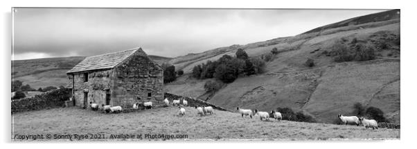 Swaledale Yorkshire dales far and sheep black and white Acrylic by Sonny Ryse