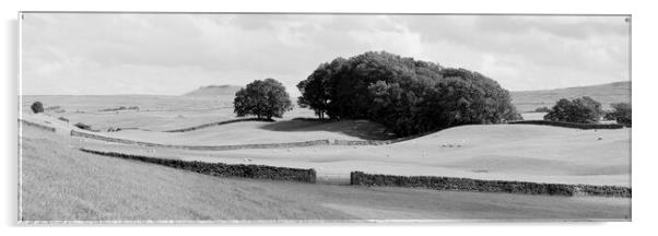 Yorkshire Dales Wensleydale Fields black and white Acrylic by Sonny Ryse