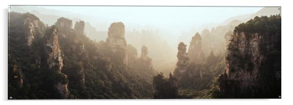 Zhangjiajie National Park Wulingyuan mountains forest Acrylic by Sonny Ryse