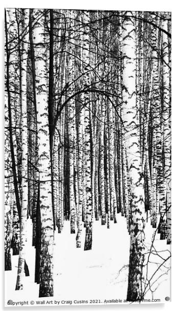 Winter Forest Acrylic by Wall Art by Craig Cusins