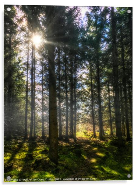 Mysterious Forest Glade path Acrylic by Wall Art by Craig Cusins