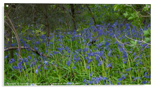 A close up of a bluebells with trees in the backgr Acrylic by kenneth Dougherty