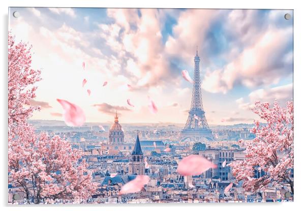 French sakura Acrylic by Manjik Pictures