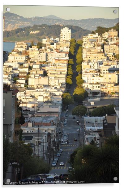 Sunlit San Francisco Acrylic by Sam Robinson
