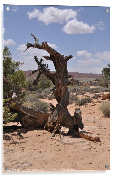 Twisted Tree, Arches National Park Acrylic by Sam Robinson
