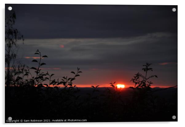 Red Sky Sunset Acrylic by Sam Robinson