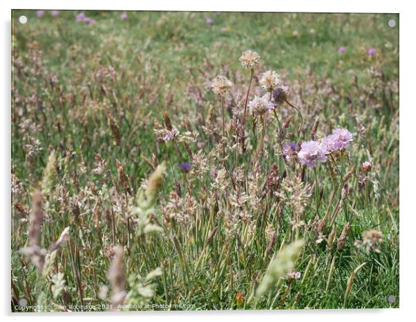 Wildflower Meadow Acrylic by Sam Robinson