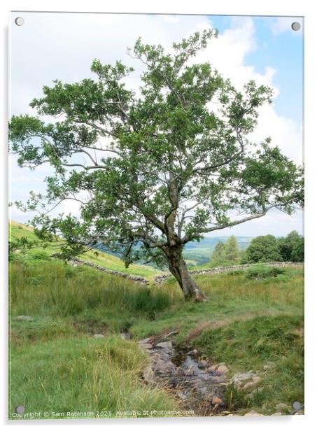 Single Tree by stream Acrylic by Sam Robinson