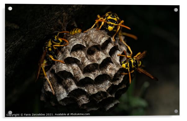 Wasp Nest Acrylic by Fanis Zerzelides