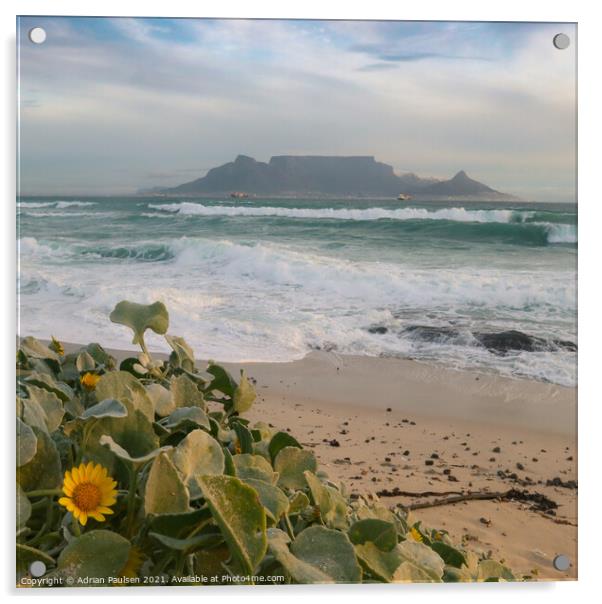 View of Table Mountain  Acrylic by Adrian Paulsen