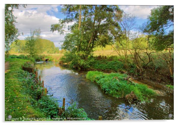 River Arrow, Warwickshire, looking north Acrylic by Richard J. Kyte