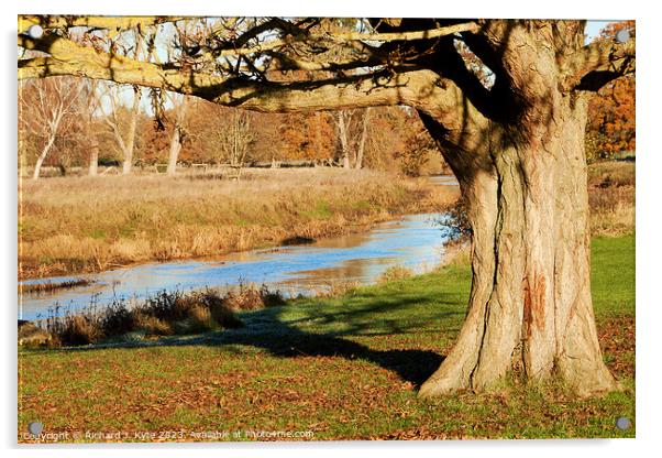 River Avon, Warwickshire Acrylic by Richard J. Kyte