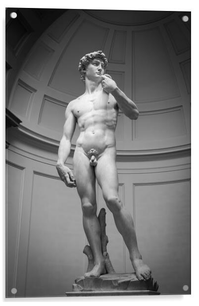 David by Michelangelo Acrylic by Alan Le Bon