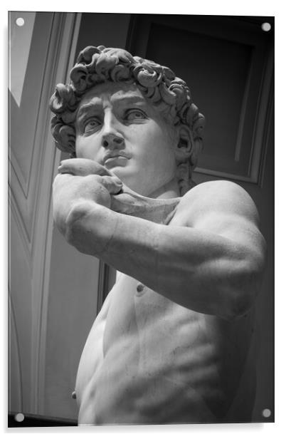 The Statue of David by Michelangelo Acrylic by Alan Le Bon