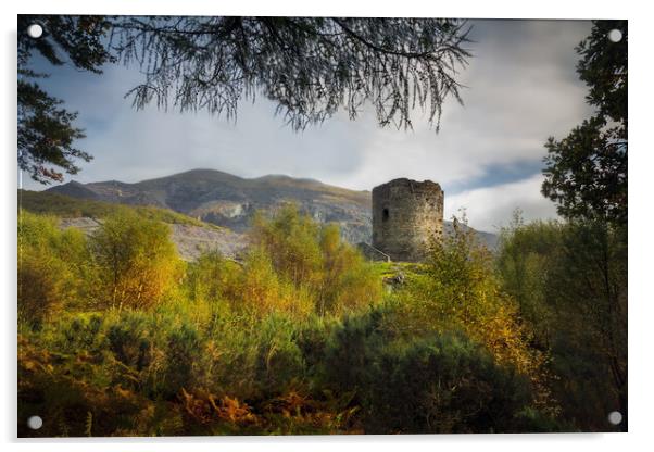 Dolbadarn Castle in Autumn Acrylic by Alan Le Bon
