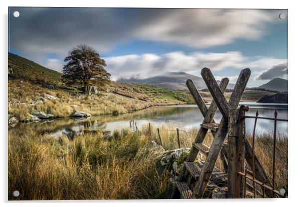 Llyn Dywarchen, Snowdonia Acrylic by Alan Le Bon