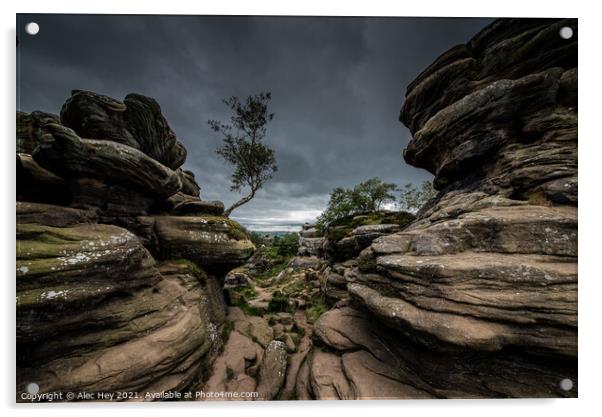 Brimham Rocks natural sandstone Acrylic by Alec Hey